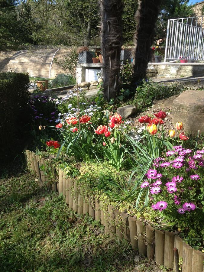 L'Ecrin D'Osely Bed & Breakfast Lodeve Exterior photo