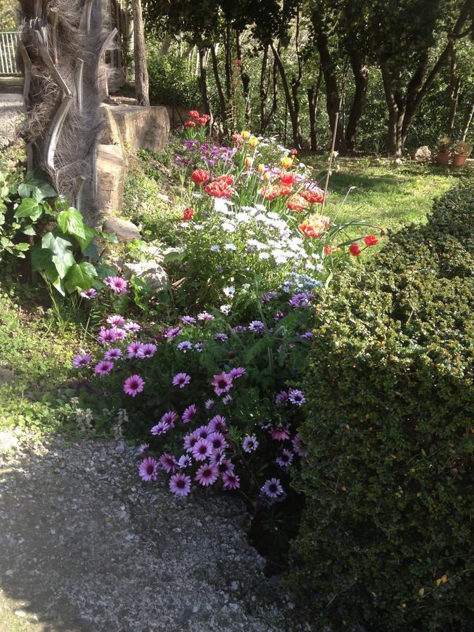 L'Ecrin D'Osely Bed & Breakfast Lodeve Exterior photo