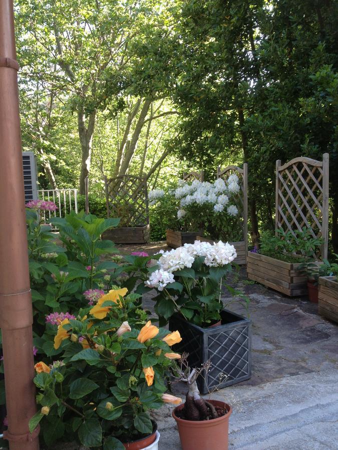 L'Ecrin D'Osely Bed & Breakfast Lodeve Exterior photo